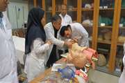 اجرای کارگاهINTUBATION ویژه دانشجویان ارشد پرستاری دانشگاه تهران در مرکز مهارت های بالینی پردیس بی