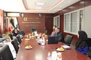 نشست هم‌اندیشی اعضای میز همکاری‌های علمی دانشگاه علوم پزشکی تهران با مراکز آموزش عالی کشور مجارستان برگزار شد