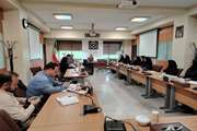 برگزاری جلسه بررسی انتظارات و موارد توسعه‌ای موردنیاز کالج بین الملل دانشگاه از سامانه سیپاد