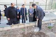 کاشت نهال به یاد شهدای مدافع سلامت در مجتمع خوابگاه های کوی دانشگاه1