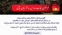 فراخوان جذب مدرس مدعو زبان چینی